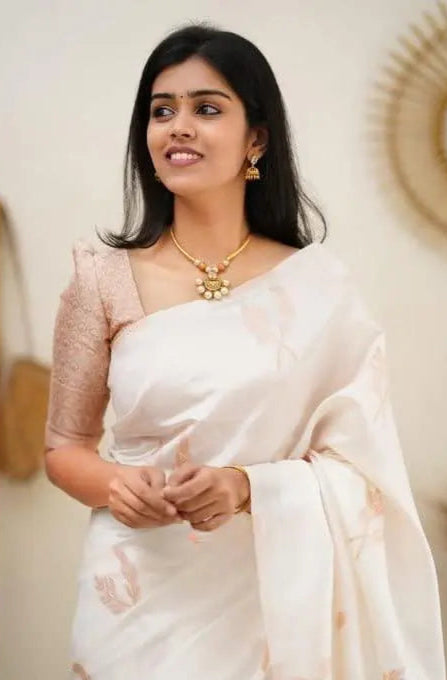 Banarasi Soft Silk Saree