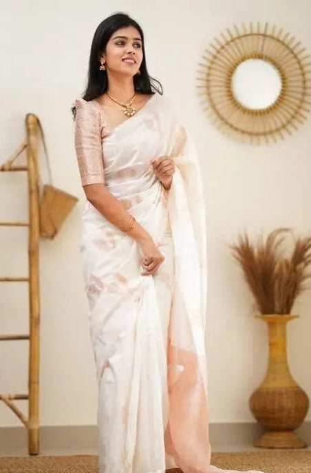 Banarasi Soft Silk Saree